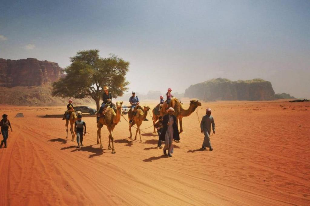 Bedouins Life Camp 호텔 아카바 외부 사진